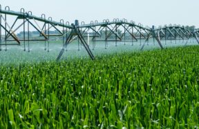 a sprinkler spraying water on a green field