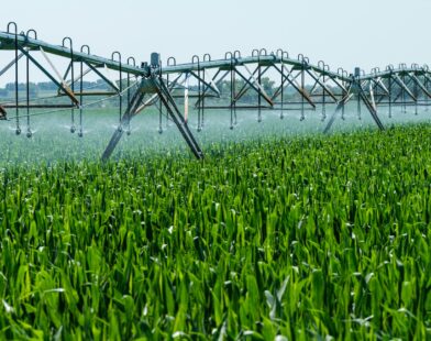 a sprinkler spraying water on a green field
