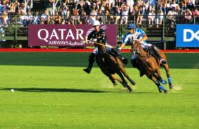 two person riding horse during daytime
