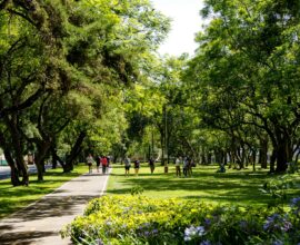 People enjoying a sunny day in a lush green park