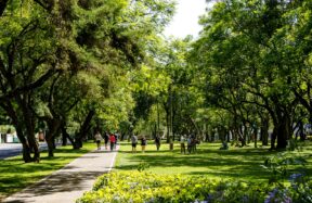 People enjoying a sunny day in a lush green park