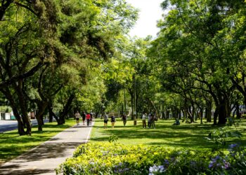 People enjoying a sunny day in a lush green park