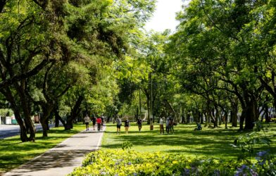 People enjoying a sunny day in a lush green park
