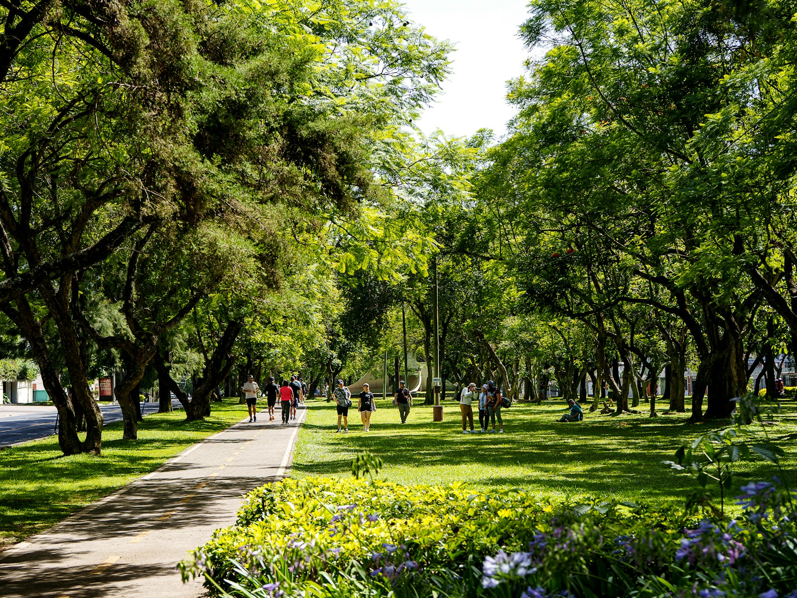People enjoying a sunny day in a lush green park