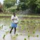 woman in white shirt and blue denim shorts holding white plastic bucket on water