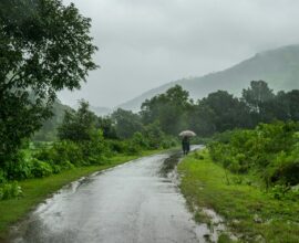 person walking on road between green grass field during daytime