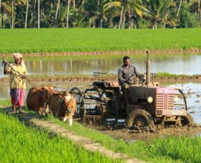 man riding farm equipment during daytime