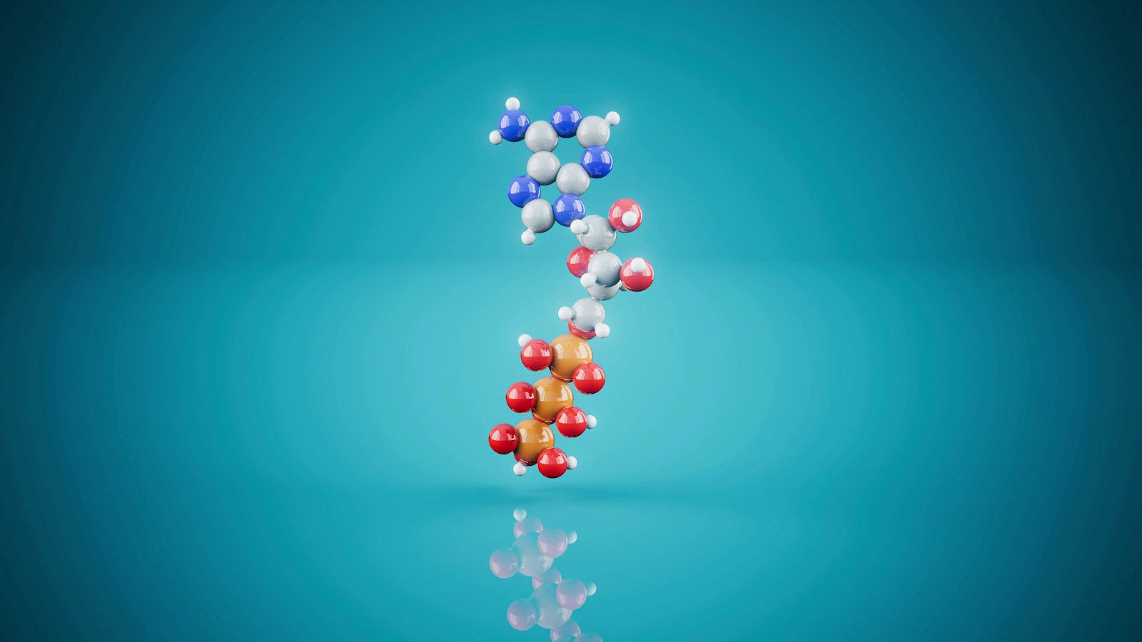 3D molecular model of atp on a blue background