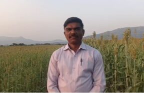 शुगर गेज ज्वारीच्या शेतात उभे असलेले शेतकरी पृथ्वीराज चव्हाण