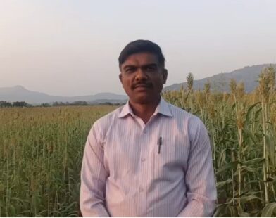 शुगर गेज ज्वारीच्या शेतात उभे असलेले शेतकरी पृथ्वीराज चव्हाण