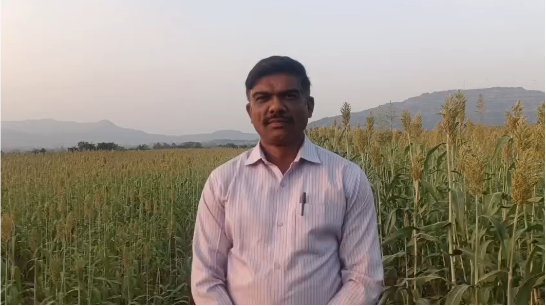 शुगर गेज ज्वारीच्या शेतात उभे असलेले शेतकरी पृथ्वीराज चव्हाण