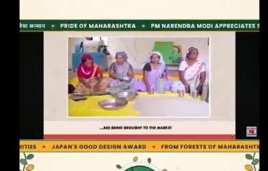 शबरी नॅचरल्सच्या आदिवासी संस्कृतीचे दर्शन घडविणाऱ्या पॅकेजिंगची उत्पादने