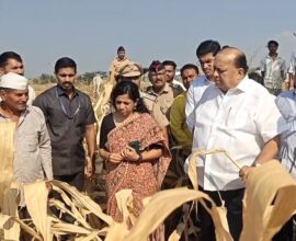 नंदुरबार जिल्ह्यात दुष्काळग्रस्त भागाची पाहणी करताना पालकमंत्री हसन मुश्रीफ