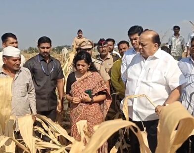 नंदुरबार जिल्ह्यात दुष्काळग्रस्त भागाची पाहणी करताना पालकमंत्री हसन मुश्रीफ