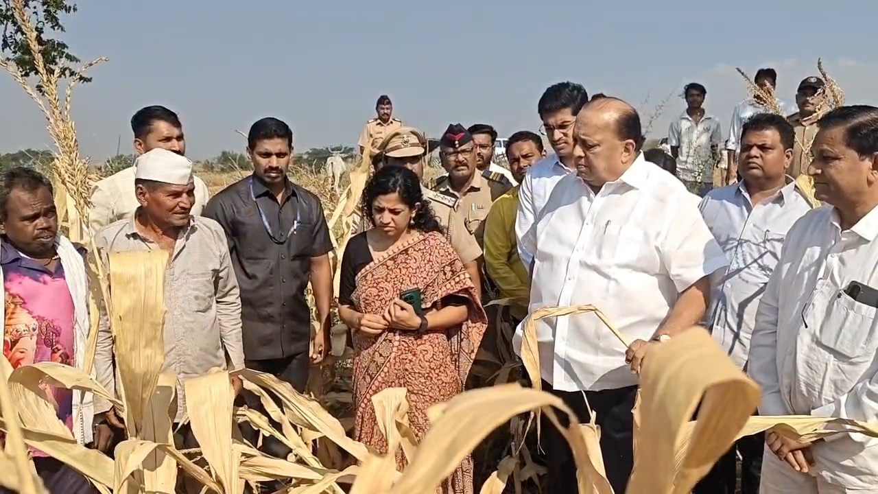 नंदुरबार जिल्ह्यात दुष्काळग्रस्त भागाची पाहणी करताना पालकमंत्री हसन मुश्रीफ
