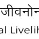 बेलापूर येथील अर्बन हाटमध्ये दिवाळी फराळ तयार करताना महिला