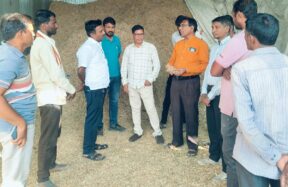 मका मुरघास आणि चारा व्यवस्थापनाची पाहणी करताना अधिकारी व शेतकरी
