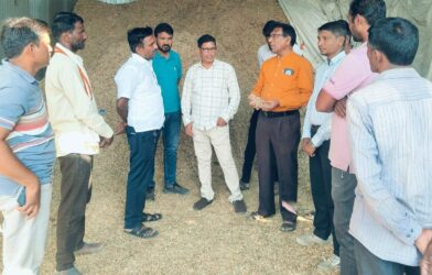 मका मुरघास आणि चारा व्यवस्थापनाची पाहणी करताना अधिकारी व शेतकरी