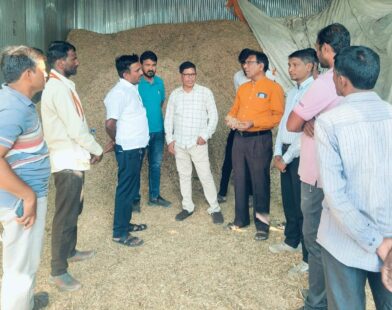 मका मुरघास आणि चारा व्यवस्थापनाची पाहणी करताना अधिकारी व शेतकरी