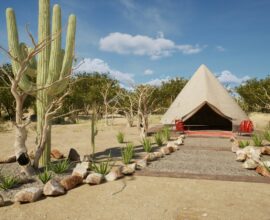 Desert glamping tent with cactus under a blue sky