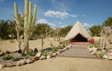 Desert glamping tent with cactus under a blue sky