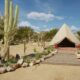 Desert glamping tent with cactus under a blue sky