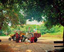 a man standing next to a truck under a tree