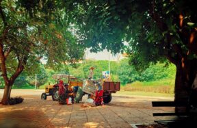 a man standing next to a truck under a tree