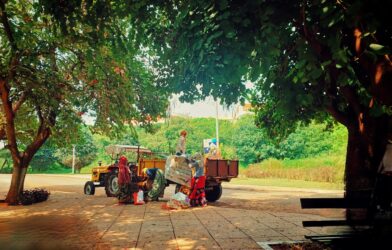 a man standing next to a truck under a tree