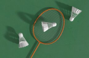 a badminton racket and two shuttles on a green surface
