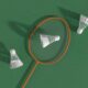 a badminton racket and two shuttles on a green surface