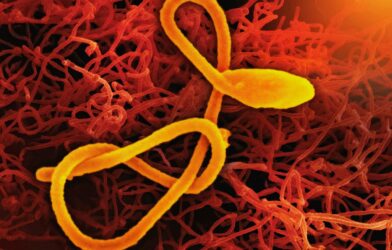 a close up of a cell phone with a yellow cord