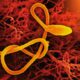 a close up of a cell phone with a yellow cord