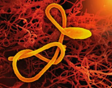 a close up of a cell phone with a yellow cord