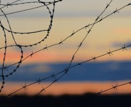black barbwire in close up photography during daytime