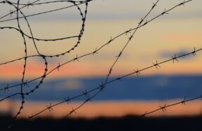 black barbwire in close up photography during daytime
