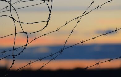 black barbwire in close up photography during daytime
