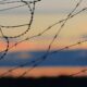 black barbwire in close up photography during daytime