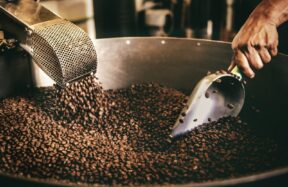 A person using a metal scoop to stir roasted coffee beans in Playa del Carmen