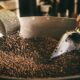 A person using a metal scoop to stir roasted coffee beans in Playa del Carmen