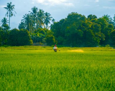 a person in a green field with trees in the background