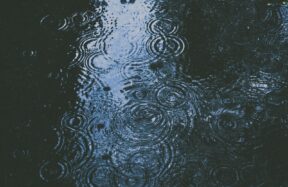 photo of body of water and droplets